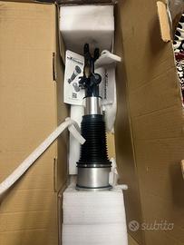 Ammortizzatore DX ad aria Audi A6/S6/RS6 C6 (4f)