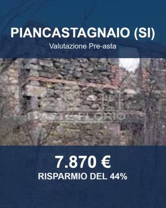 Immobile in asta di 15850 m² a Piancastagnaio