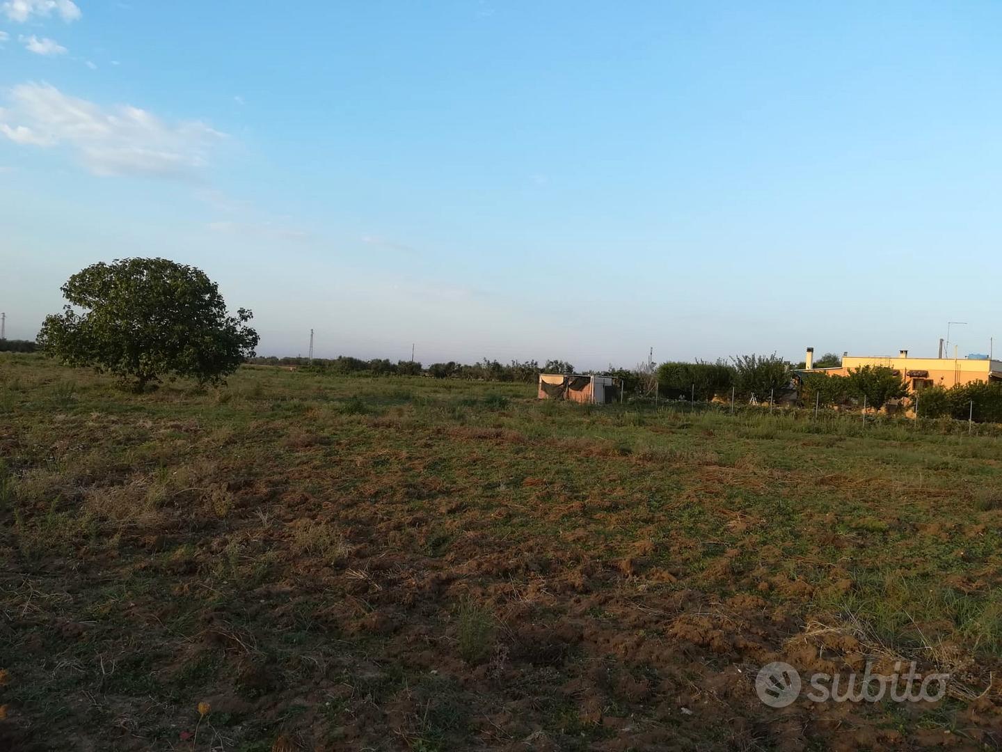 Terreni agricoli a Nardò (LE) - Vista 3