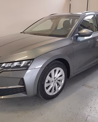 Skoda Octavia 2.0 TDI 150 CV DSG Wagon Executive