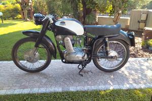 Mondial 175 TV storica