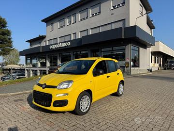 FIAT Panda 1.0 FireFly S&S Hybrid ICON+5posti KM