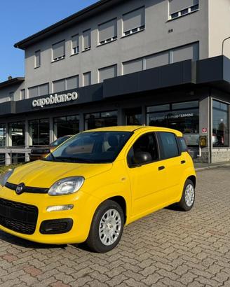 FIAT Panda 1.0 FireFly S&S Hybrid ICON+5posti KM
