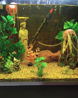 Acquario 