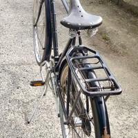 Bicicletta Raleigh