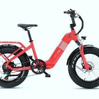 bicicletta a pedalata assisitita