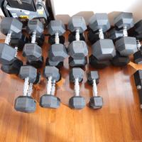 Manubri palestra hex dumbell set completo