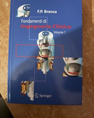Fondamenti di Ingegneria Clinica, Branca