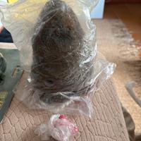 “Tana termiti” exo terra