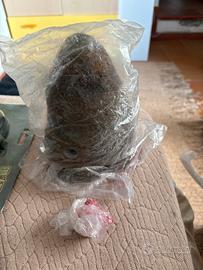 “Tana termiti” exo terra