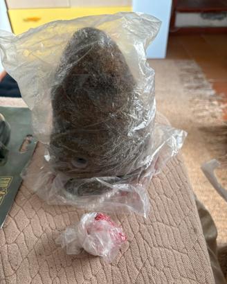 “Tana termiti” exo terra