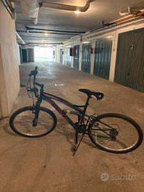 Bicicletta per ragazzo