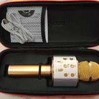 Karaoke pronto all'uso