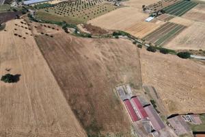 Terreno più capannone in acciaio