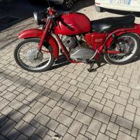 Lodola Guzzi 235cc 1961