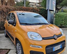 FIAT Panda 1.0 FireFly S&S Hybrid Easy