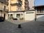 Immagine 12