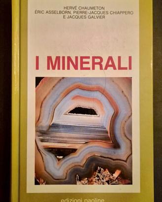 Libro completo "I Minerali"