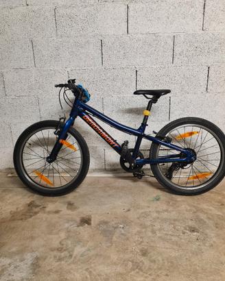 Bici Bergamont Bambino 20 pollici