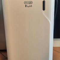 condizionatore pinguino delonghi