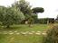 Immagine 10