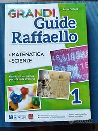 Grandi guide Raffaello 1. Matematica/scienze