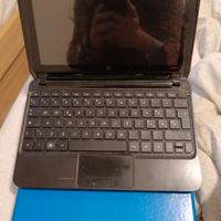 HP Mini