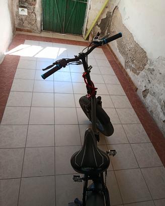 bici elettrica 