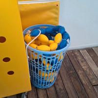 Corsia giallo ,blu, per piscina