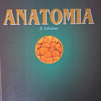 Anatomia
