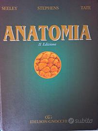 Anatomia