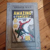 Marvel Masterworks SPIDER-MAN 1 - PANINI COMICS 