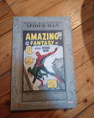 Marvel Masterworks SPIDER-MAN 1 - PANINI COMICS 