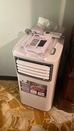 Condizionatori-pinguini