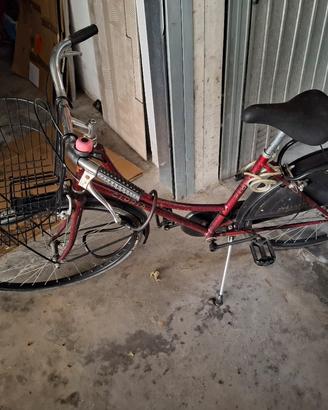 Bicicletta olandese donna 