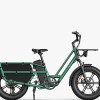 Bici elettrica Nuova - Fiido T2 Longtail Cargo