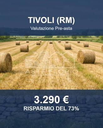 Immobile in asta di 7220 m² a Tivoli