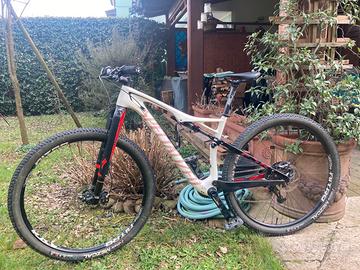 Specialized Epic Carbon 29