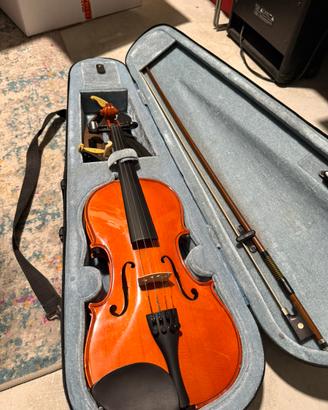 Violino da studio