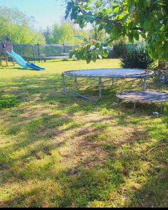Terreno  a Viareggio , Enrico Paladini