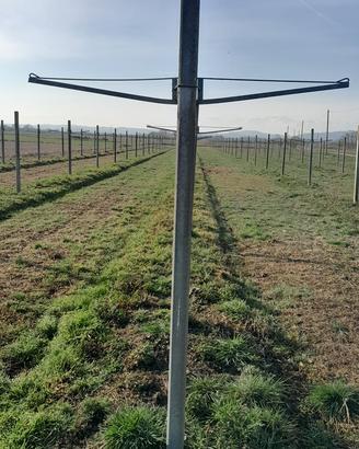 Pali cemento e pergolette