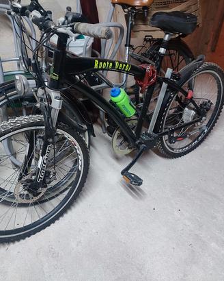 bici elettrica 