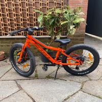 Scott Roxter 20