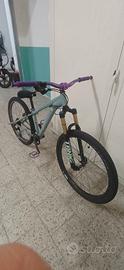 whellie bike st 500 kittata