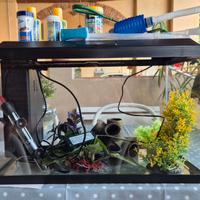 acquario 40lt. genius