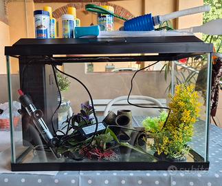 acquario 40lt. genius