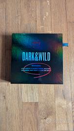 BTS- Dark & Wild