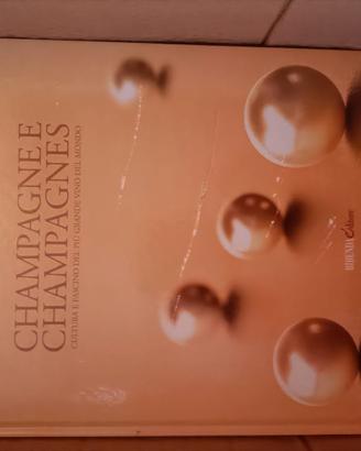 Libro ais Sommelier