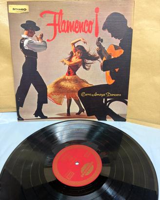 Dischi in vinile