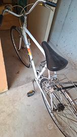 bici uomo